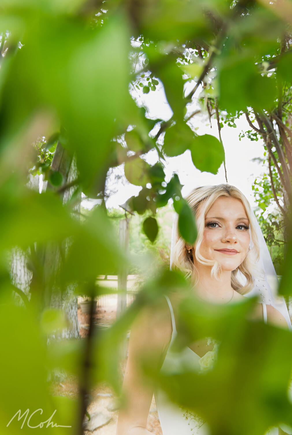 Kaleigh Through the Trees Kaleigh Through the Trees